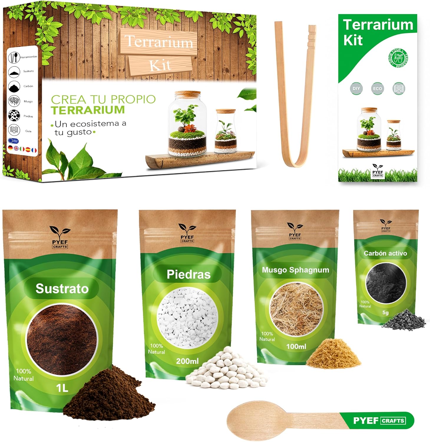 Kit DIY para terrario en botella