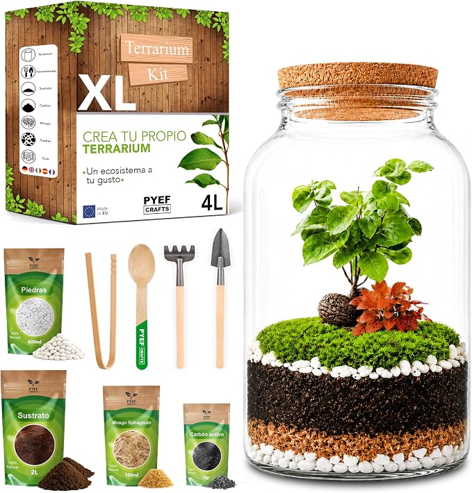 Kit XL para crear un terrario